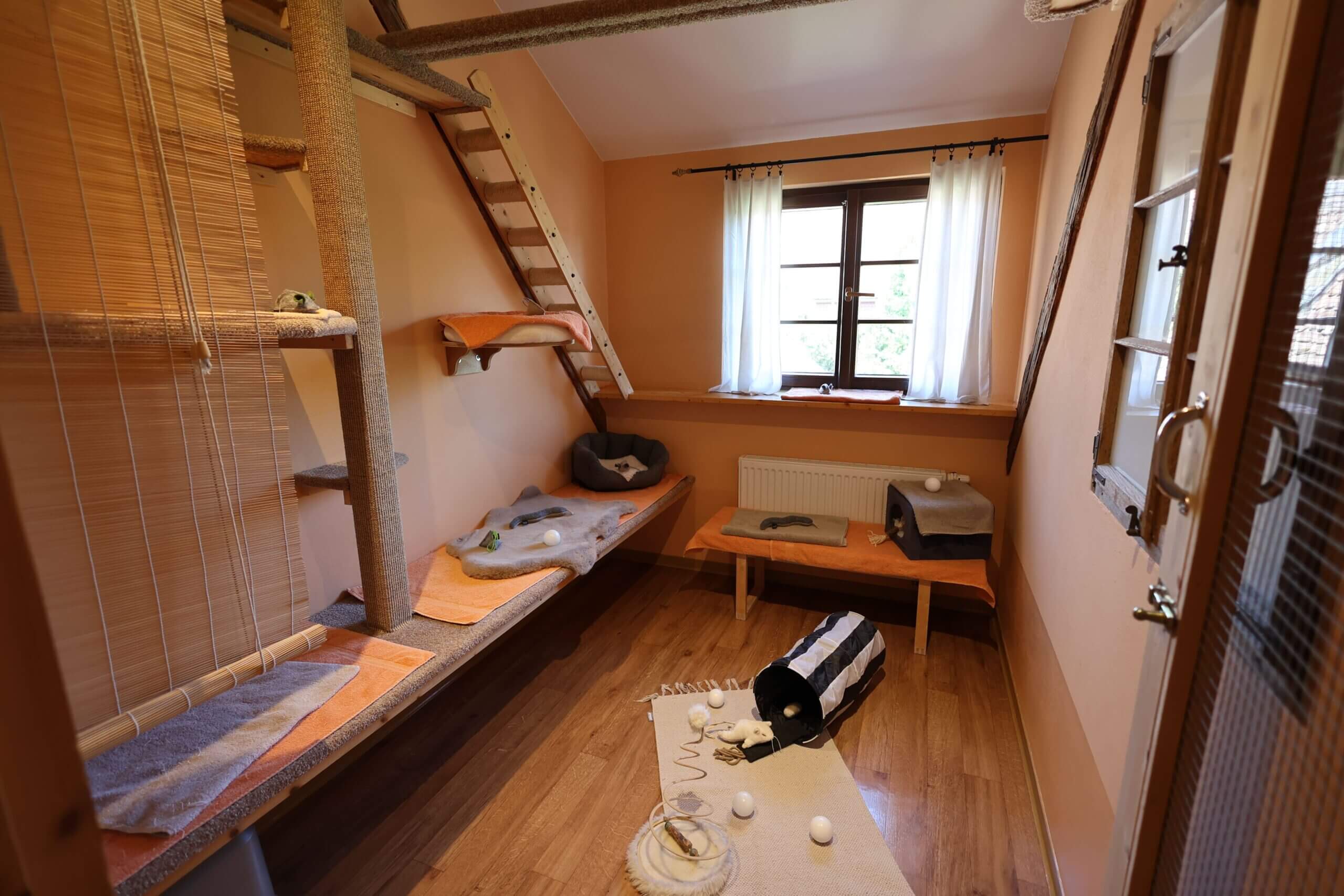 kuschelzimmer2