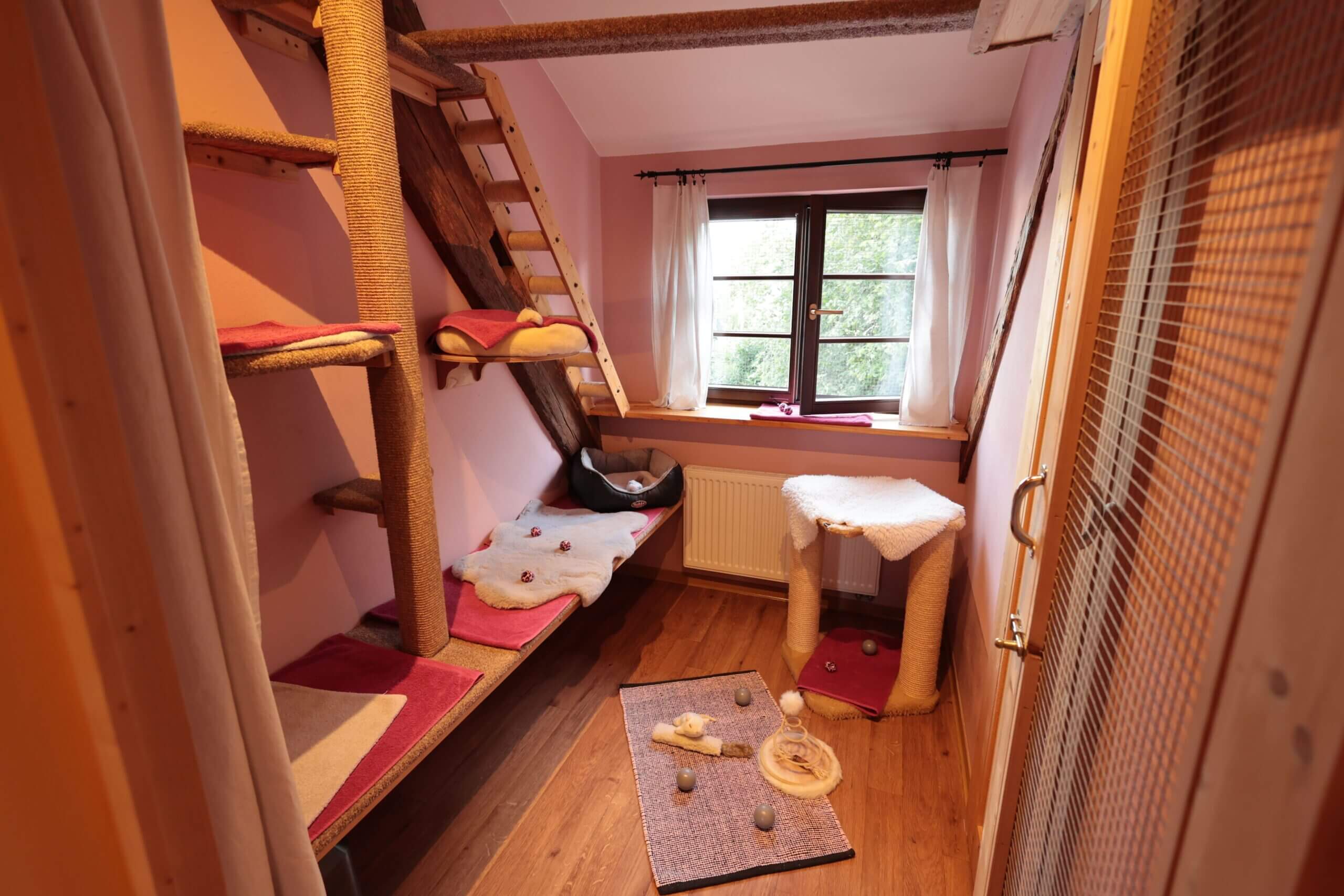 kuschelzimmer3