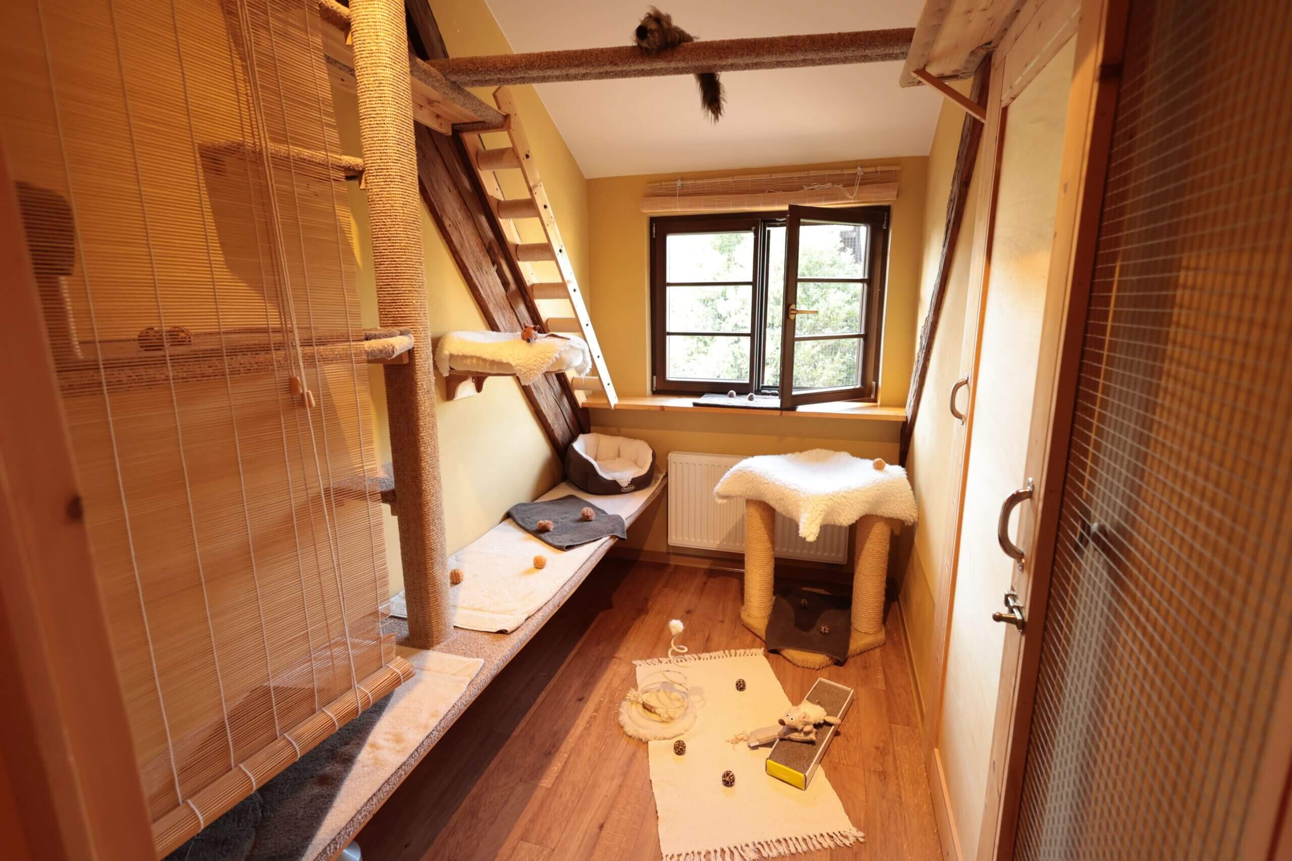 kuschelzimmer5